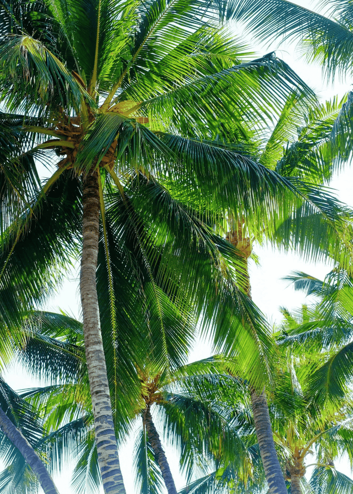 Eyewear folio page 4